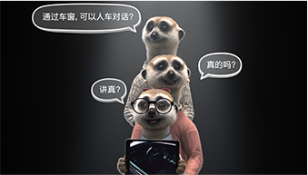 遇见狐獴家族 遇见狐獴家族